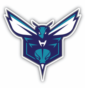 Charlotte Hornets secondary logo