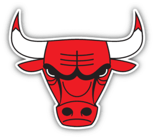 chicago bulls head vinyl sticker
