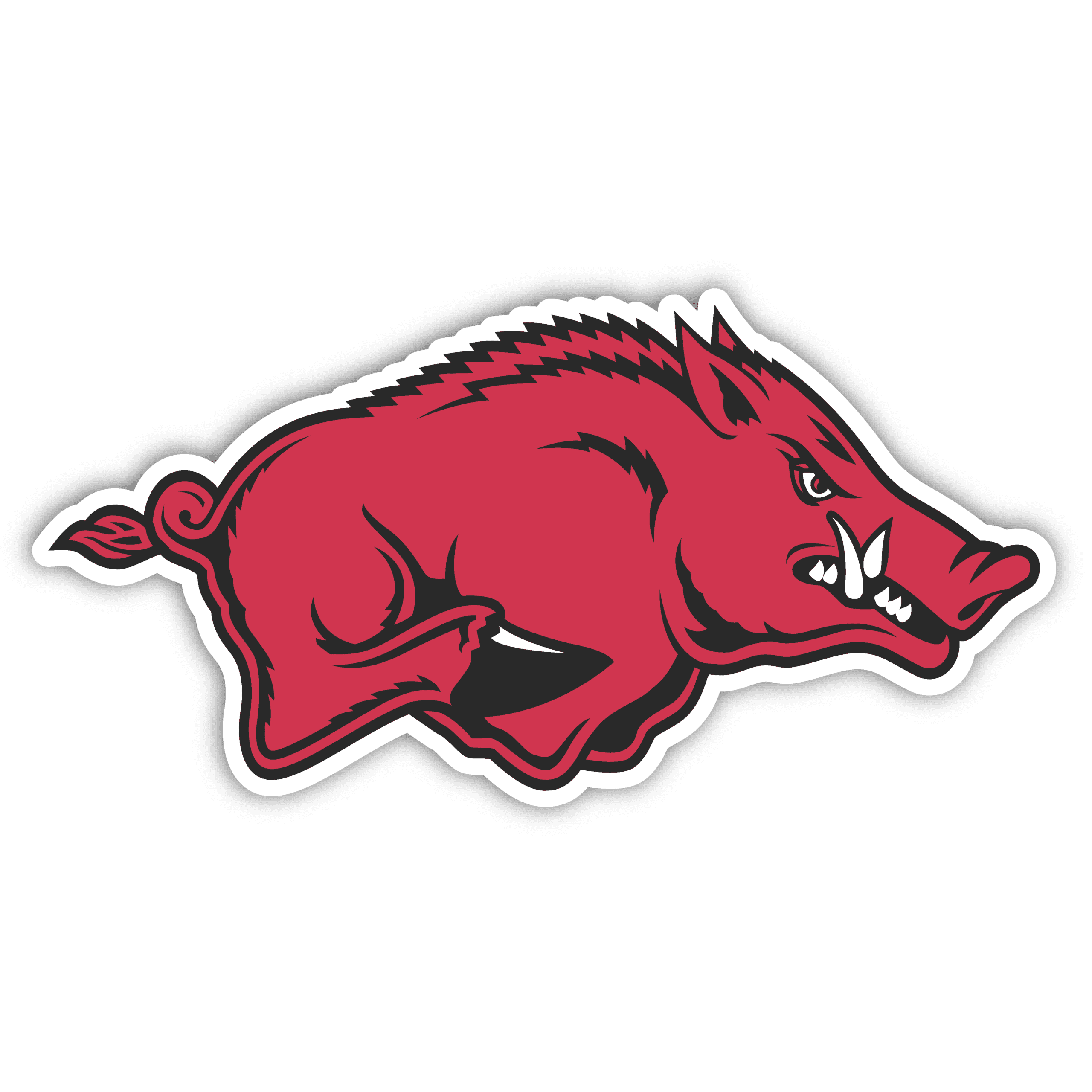 Arkansas razorbacks Arkansas razorbacks