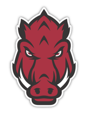 Arkansas razorbacks