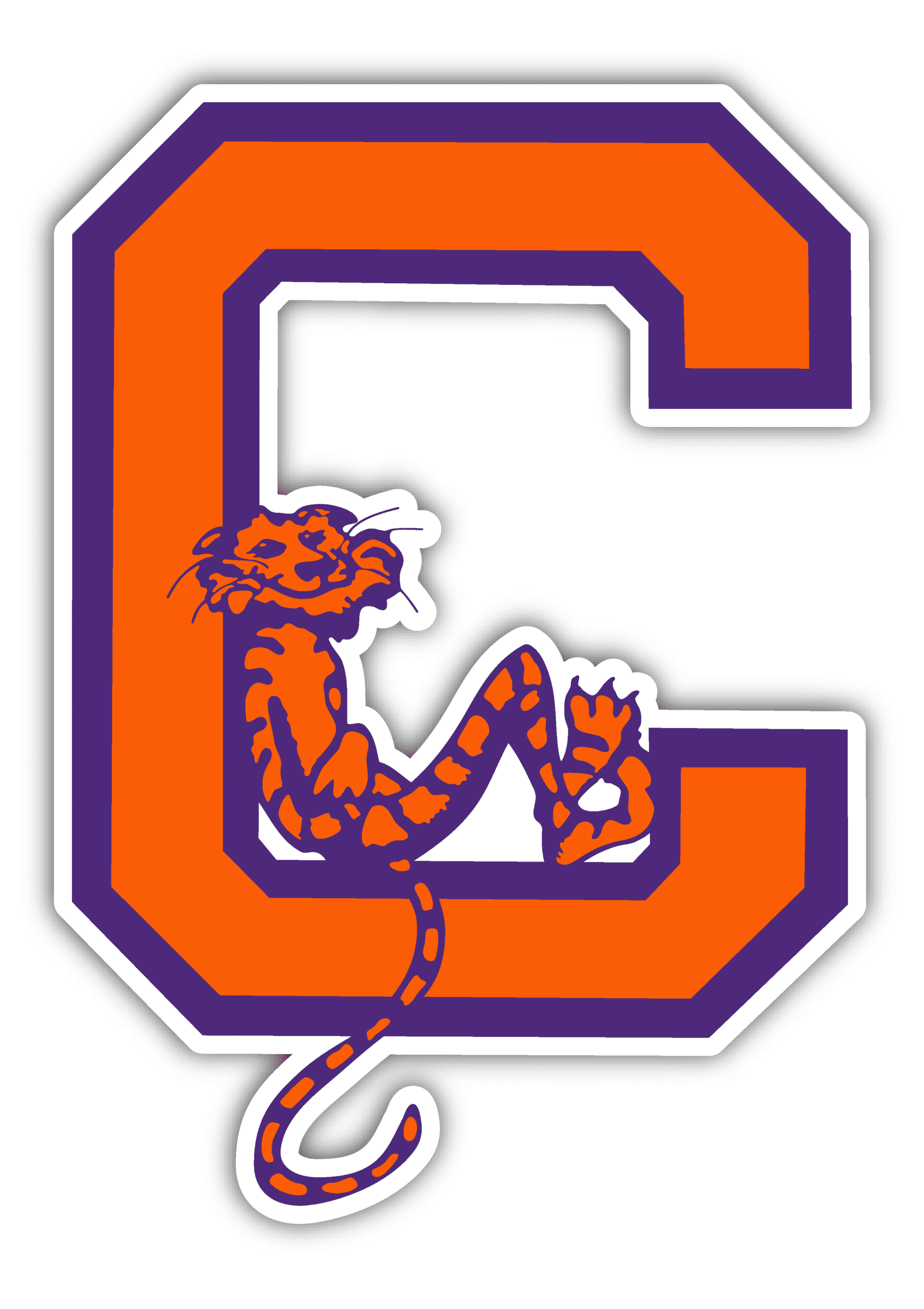 clemson university clemson university