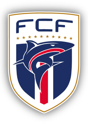 fifa logos stickers page 08