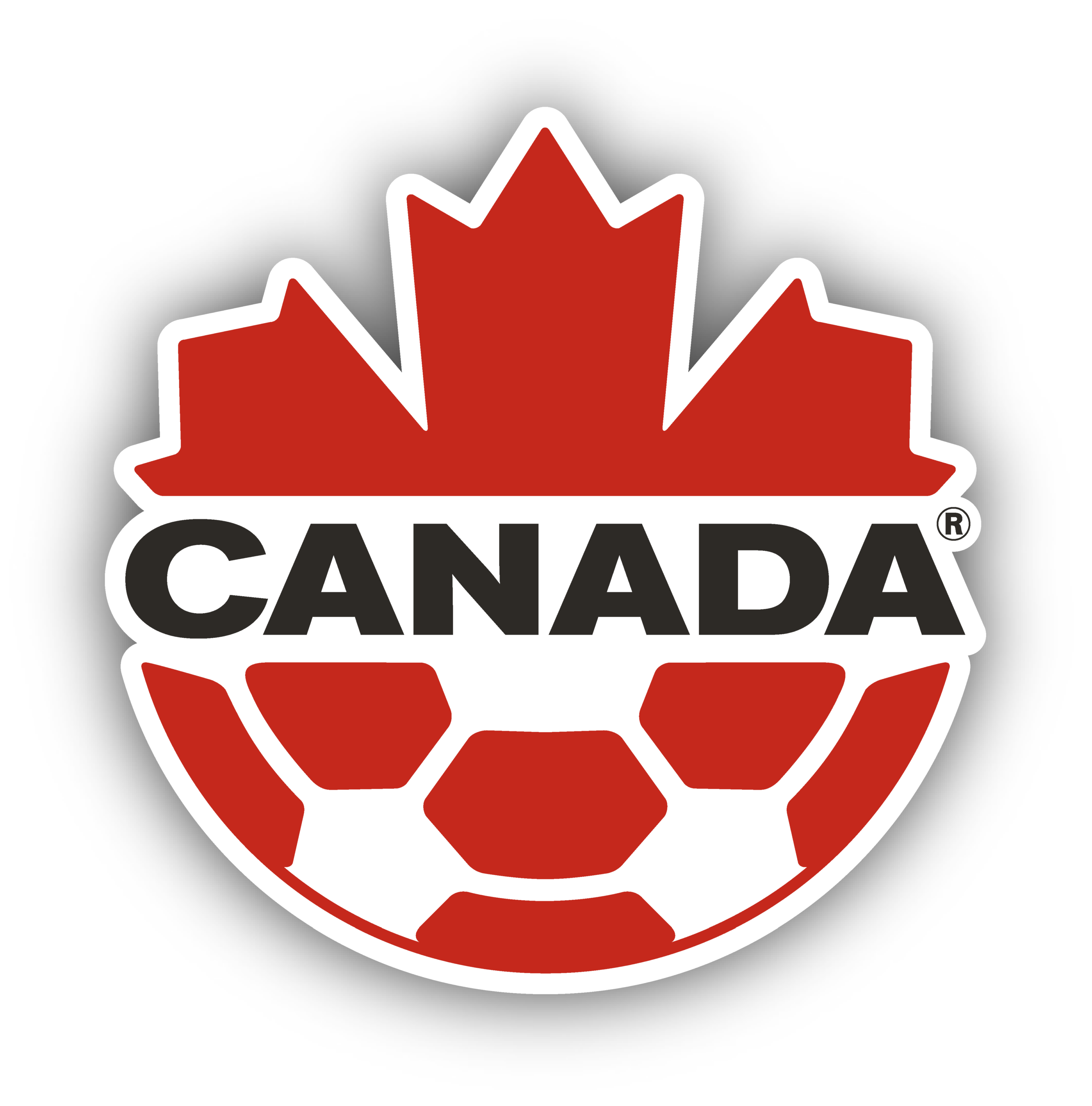 fifa logos stickers page 09 fifa logos stickers page 09
